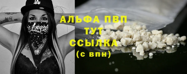 тгк Алзамай