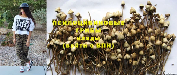 тгк Алзамай