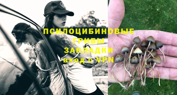 прущий лед Алексеевка