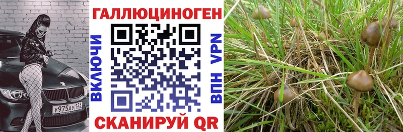 Галлюциногенные грибы Cubensis  где купить наркотик  Родники 